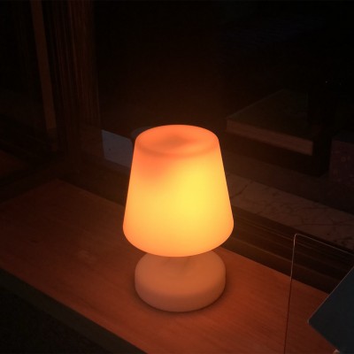 Sergio Edison Rechargeable LED Cordless Table Lamp-USB Port, Battery Operated Lamp