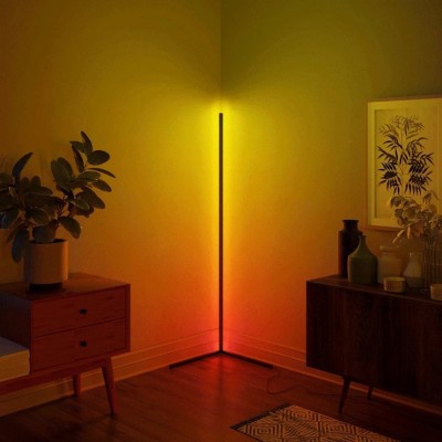 Adjustable RGB Floor Lamp Adjustable RGB Floor Lamp