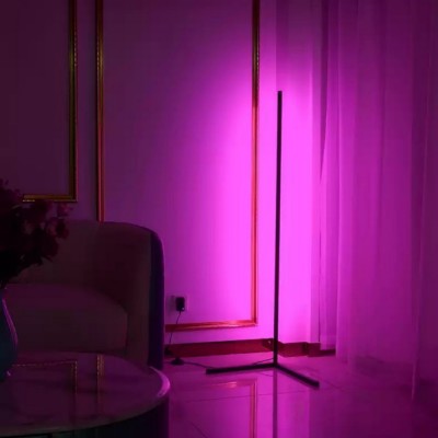 Adjustable RGB Floor Lamp Adjustable RGB Floor Lamp