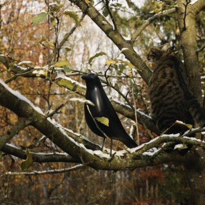 Rafael House Bird Decorative Ornament Rafael House Bird Decorative Ornament
