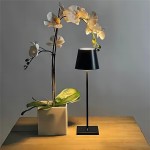 LED Battery Table Lamp | Cordless LED Table Lamp | Ping Lighting