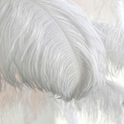 Aita Ostrich Feather Floor Lamp