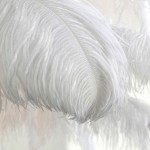 Aita Ostrich Feather Floor Lamp