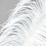 Aita Ostrich Feather Floor Lamp
