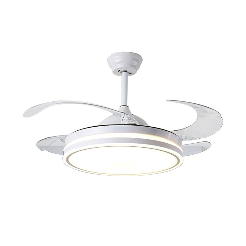 Fandeliers Ceiling Fans Canada Shelly Lighting