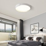 Ozera Nordic Minimalist LED Flush Mount Ceiling Light