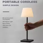Halley Exquisite Brass Color Rechargeable Dimmable Cordless Table Lamp