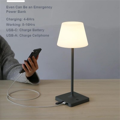 Halley Exquisite Brass Color Rechargeable Dimmable Cordless Table Lamp Halley Exquisite Brass Color Rechargeable Dimmable Cordless Table Lamp