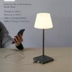 Halley Exquisite Brass Color Rechargeable Dimmable Cordless Table Lamp