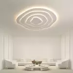 Hamer Minimalist Irregular Round Multilayer Ceiling Light