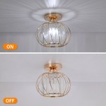 Pihu Vintage Exquisite Glass Crystal Ceiling Light Pihu Vintage Exquisite Glass Crystal Ceiling Light
