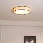 Fynorix Small Nordic Metal Round Ceiling Light