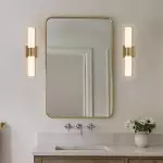 Zinnia Glass Tube Double Wall Mounted Light Zinnia Glass Tube Double Wall Mounted Light