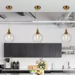 Savion Clear Glass Globe Pendant Light
