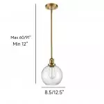 Savion Clear Glass Globe Pendant Light