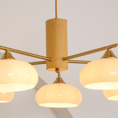 Xanthea Elliptical Persimmon Milk Glass Chandelier Xanthea Elliptical Persimmon Milk Glass Chandelier