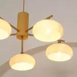 Xanthea Elliptical Persimmon Milk Glass Chandelier