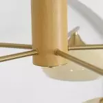 Xanthea Elliptical Persimmon Milk Glass Chandelier