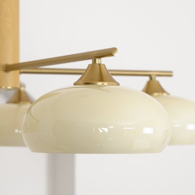 Xanthea Elliptical Persimmon Milk Glass Chandelier Xanthea Elliptical Persimmon Milk Glass Chandelier