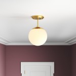 Padrigin White 1-Light Glass Globe Ceiling Light Padrigin White 1-Light Glass Globe Ceiling Light