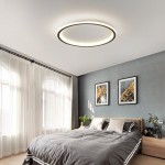 Fynar ‎Minimalist Black Round Led Thin Flush Mount Ceiling Light