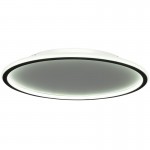 Fynar ‎Minimalist Black Round Led Thin Flush Mount Ceiling Light