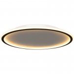 Fynar ‎Minimalist Black Round Led Thin Flush Mount Ceiling Light