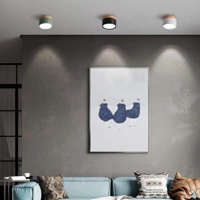 Cyrion Nordic Cylinder LED Flush Mount Ceiling Light Cyrion Nordic Cylinder LED Flush Mount Ceiling Light
