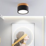 Fynix Nordic Mini Column Led Ceiling Downlight