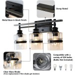 Nexith 3 Lights Black Iron Clear Glass Vanity Wall Sconce