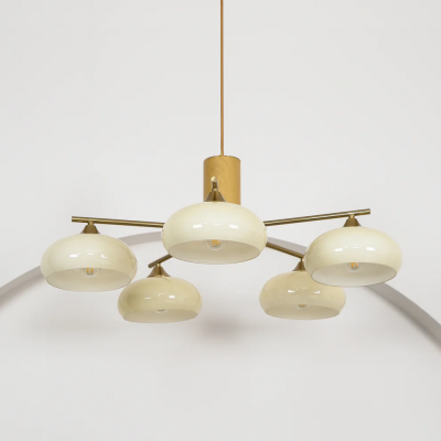 Xanthea Elliptical Persimmon Milk Glass Chandelier Xanthea Elliptical Persimmon Milk Glass Chandelier