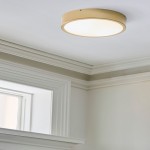Fynorix Small Nordic Metal Round Ceiling Light