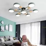 Phelith Scandinavian Round Molecule Branch Led Ceiling Light
