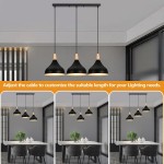 Wrenna 3-Light Black And Wood Dome Pendant Light