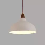 Zarek ‎Minimalist Walnut Wrought Iron Bowl Shaped Pendant Light