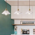 Fyron Retro Clear Brass Glass Pleated Pendant Light
