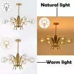 Zephyr Luxury 6-Lights Globe Glass Chandelier