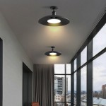Khyler Scandinavian Carbonized Steel Round Waterproof Ceiling Light