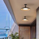 Khyler Scandinavian Carbonized Steel Round Waterproof Ceiling Light