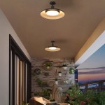 Khyler Scandinavian Carbonized Steel Round Waterproof Ceiling Light