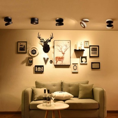 Galith Small Led Angle Adjustable Ceiling Mounted Spotlight