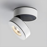 Galith Small Led Angle Adjustable Ceiling Mounted Spotlight