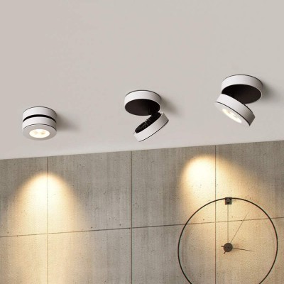 Galith Small Led Angle Adjustable Ceiling Mounted Spotlight