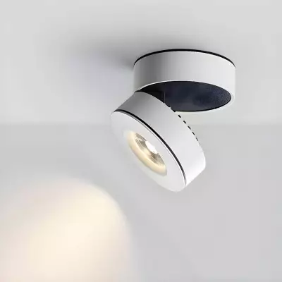 Galith Small Led Angle Adjustable Ceiling Mounted Spotlight