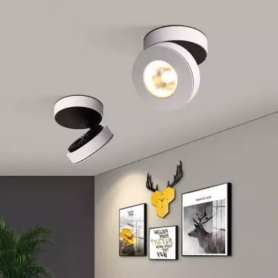 Galith Small Led Angle Adjustable Ceiling Mounted Spotlight