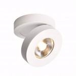 Galith Small Led Angle Adjustable Ceiling Mounted Spotlight