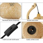 Deyron Rattan Hanging Wood Plug In Wall Mounted Lamp