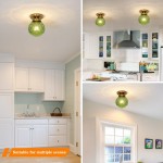 Ixionis Vintage Engraved Pattern Globe Glass Flush Mount Ceiling Light