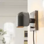 Modern Farmhouse Brushed Nickel Glass Wall Light