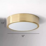 Fynorix Small Nordic Metal Round Ceiling Light